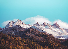 旺财28登录-【夜读】中超降薪，国脚恢复出场费？